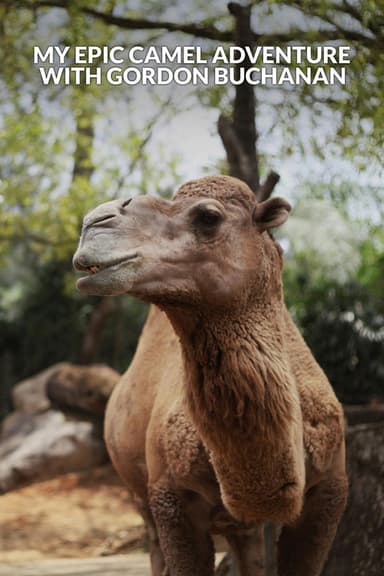 My Epic Camel Adventure With Gordon Buchanan poster
