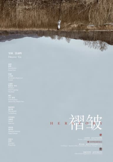 Herstory poster