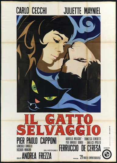 The Wild Cat poster