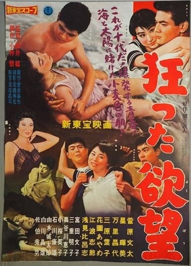Crazy Desire poster