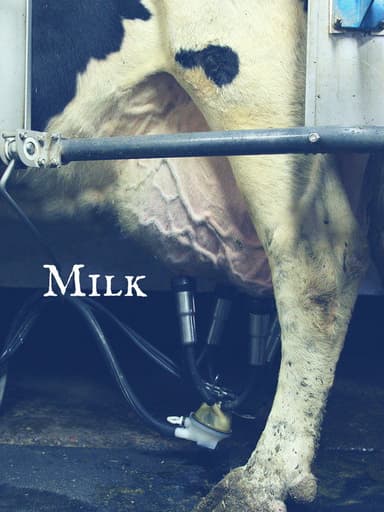Milk poster