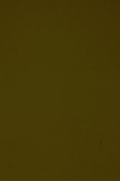 Black Movie II poster