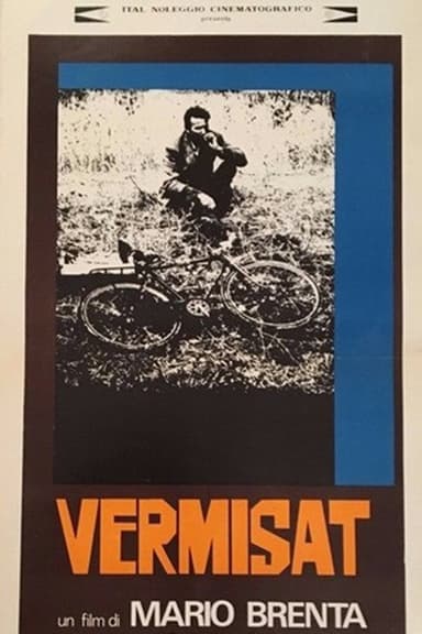 Vermisat poster