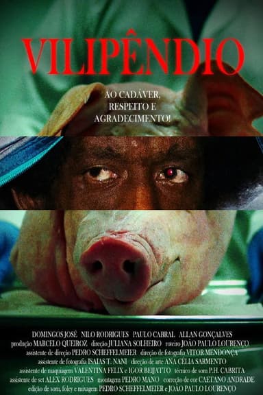 Vilipêndio poster