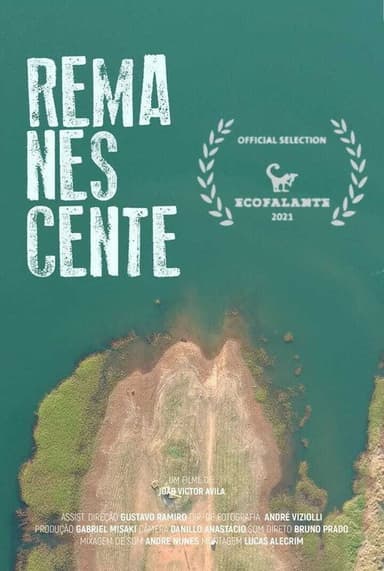 Remanescente poster