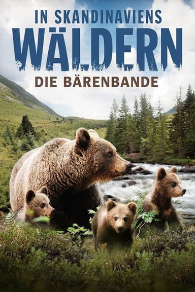 In Skandinaviens Wäldern - Die Bärenbande poster