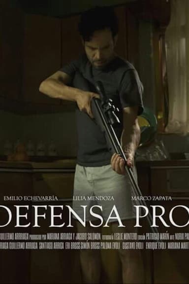 In Self Defense poster
