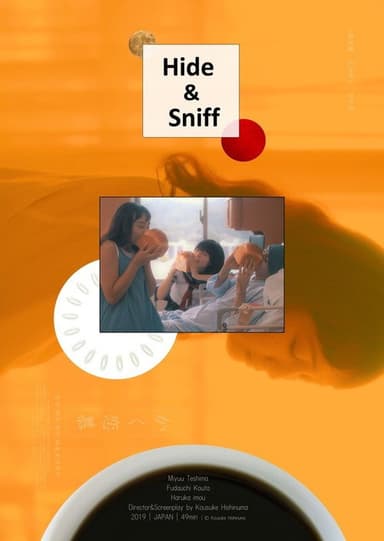 Hide & Sniff poster