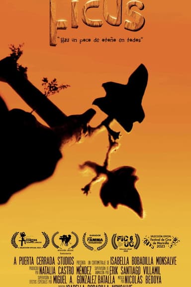 Ficus poster
