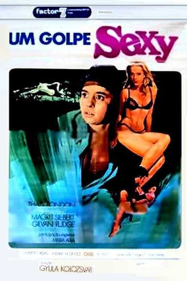 Um Golpe Sexy poster