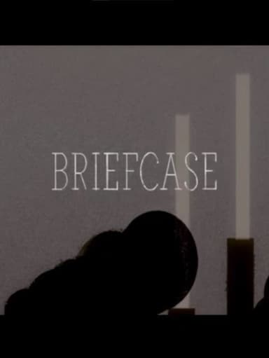 Briefcase poster