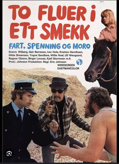To fluer i ett smekk poster
