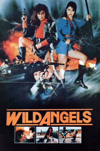 Wild Angels poster