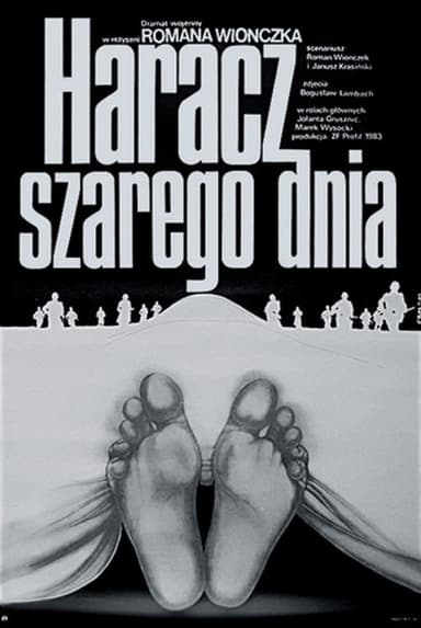 Tribute to a Gray Day poster
