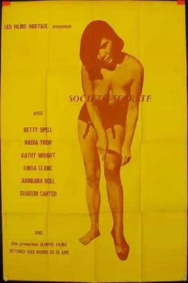 The Secret Society poster