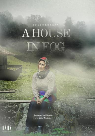 A House In Fog poster