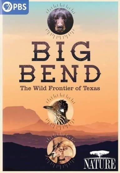 Big Bend: The Wild Frontier of Texas poster
