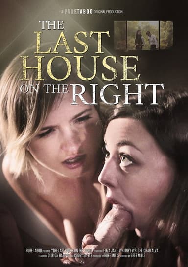 The Last House on the Right poster