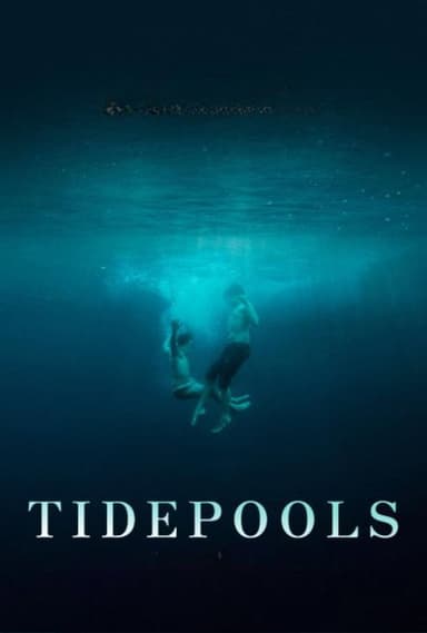 Tidepools poster