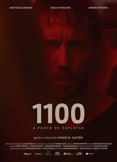 1100 poster