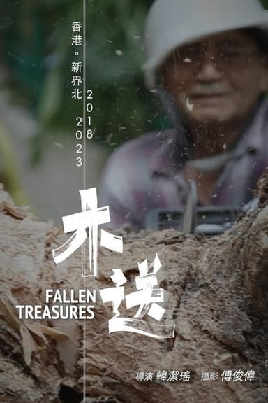 Fallen Treasures poster
