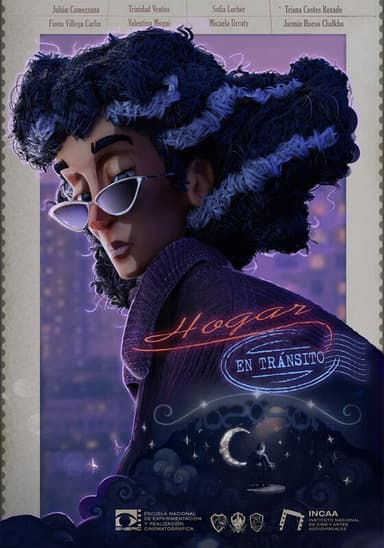 Home in Transit poster