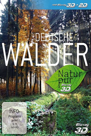 Natur pur - Deutsche Wälder poster