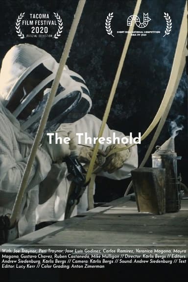The Threshold poster