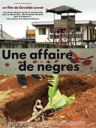 Une affaire de nègres poster