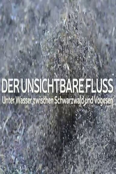 Un fleuve invisible poster