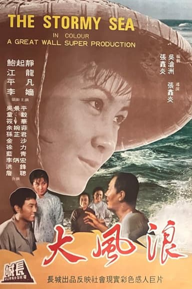 The Stormy Sea poster