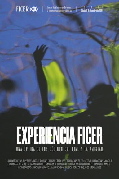 Experiencia FICER poster