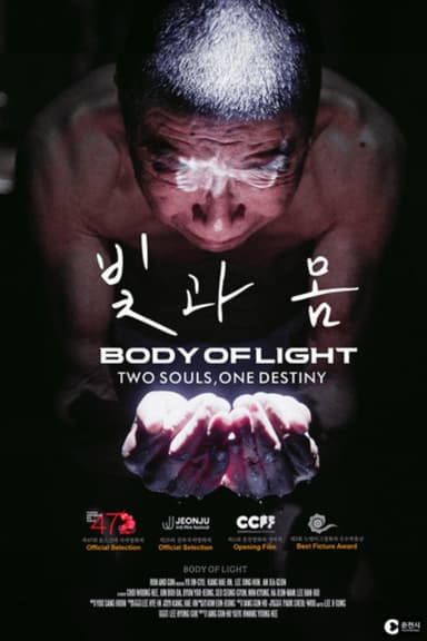 Body of Light poster