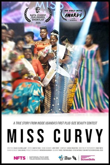 Miss Curvy poster