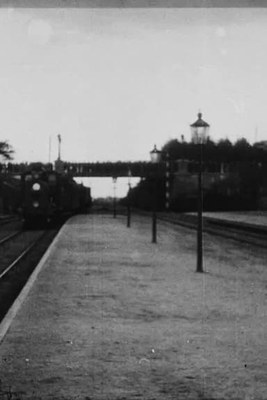 Empress Dagmar Arrives By Train poster
