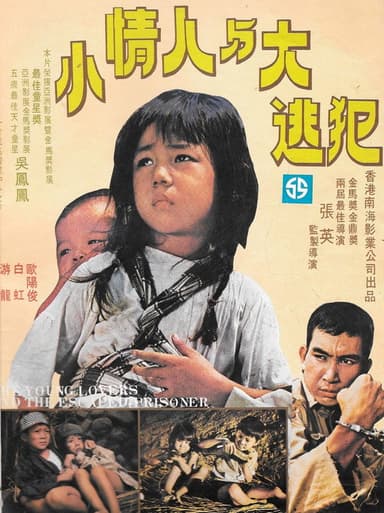 The Young Lovers and the Escaped Prisoner poster