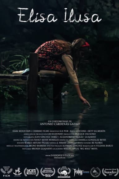 Elisa Ilusa poster