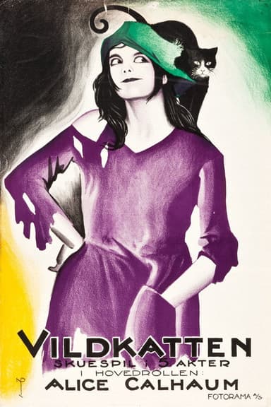Little Wildcat poster