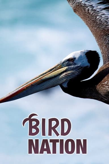 Bird Nation poster