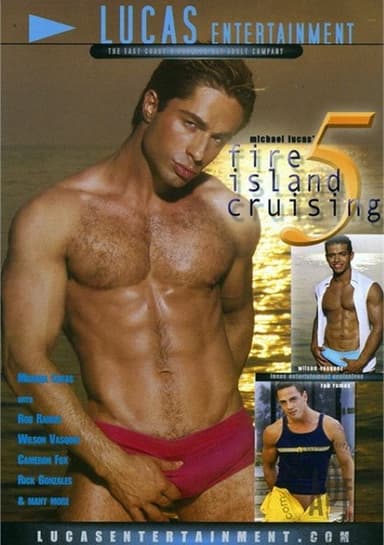 Fire Island Cruising 5 poster