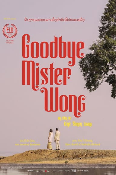 Goodbye Mister Wong poster