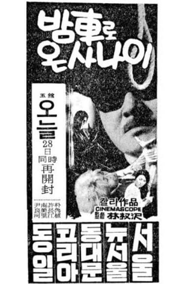 A Man Who Arrived by Night Train poster
