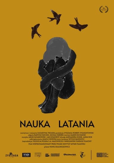 Learning to Fly poster