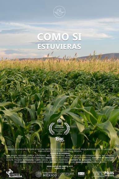 Como Si Estuvieras poster