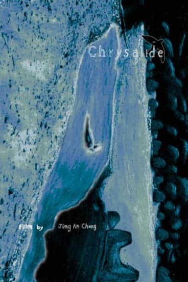 Chrysalide poster