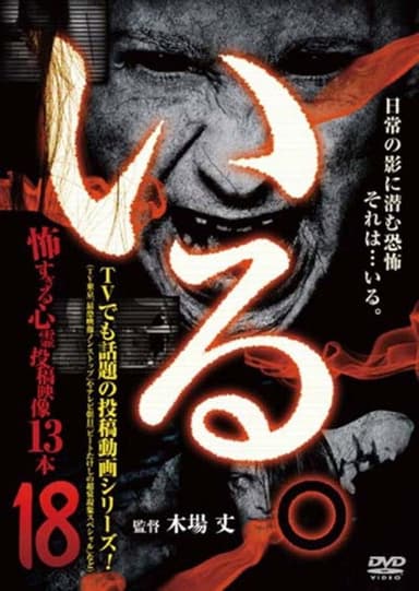 「Iru.」~ Kowasugiru Tōkō Eizō 13-hon ~ Vol.18 poster