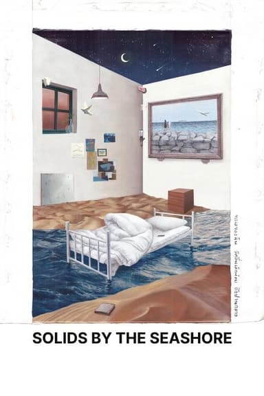 Solids by the Seashore poster
