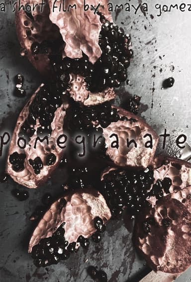 pomegranate poster