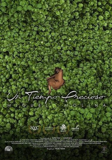 Un tiempo precioso poster