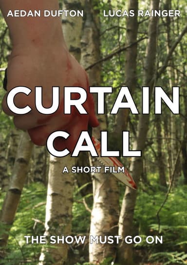 Curtain Call poster